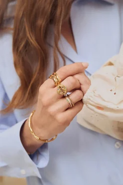 Anillo Bibiana Acero Baño Oro