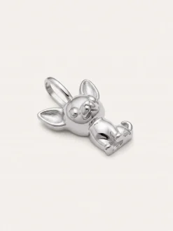 Charm Chihuahua