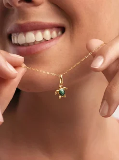 Charm Tortuga Baño Oro