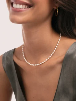 Collar Olympia Acero Baño Oro