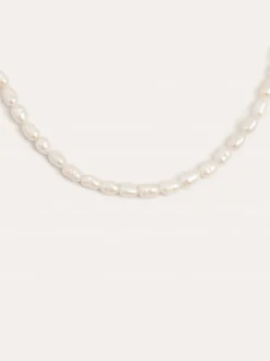 Collar Pompeya Acero Baño Oro